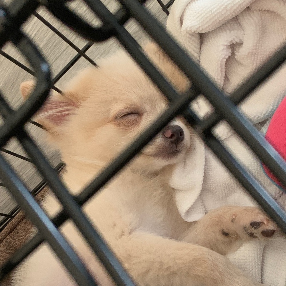 Meet your Posher, Cheryl